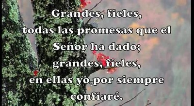 Toda las Promesas