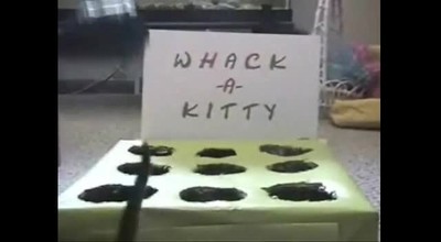 Whack-A -Kitty