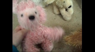 Webkinz Superbowl!!! Part 1/4
