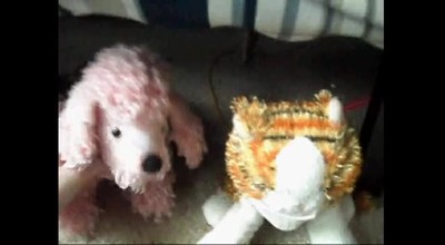 Webkinz Superbowl!!! Part 2/4