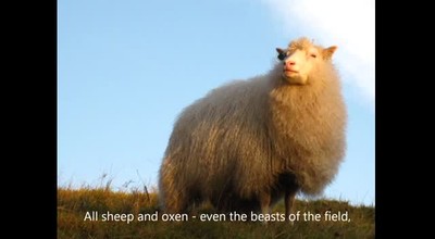 Psalm 8