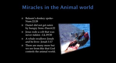 Limited Foreknowledge of God or the open view