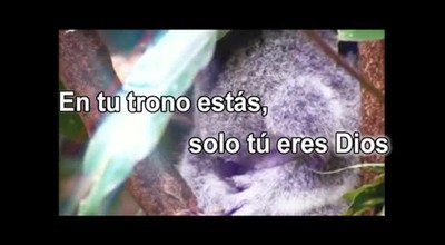 SOLO TU ERES DIOS