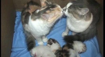 God's Cutest Creations Will Melt Your Heart!