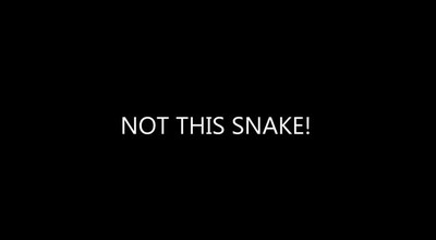 The Cartoon Bible Featuring Crafty the Serpent - Not Just For Kids!