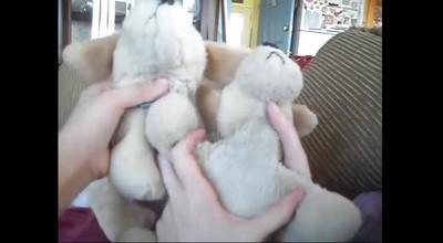 Webkinz Dance Party!