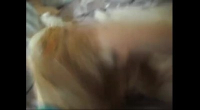 Tuff Kitties