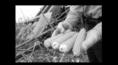 Harvest Home
