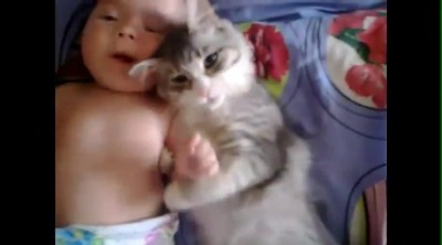 Kitty and Baby Cuddle SO Sweetly Together - Double the Cuteness! 