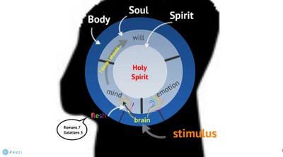 Why you do what you do - sin, the flesh, and obedience to Christ explained briefly