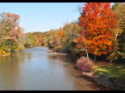 Relax to the Bible - Psalm 1