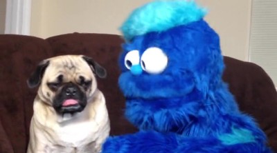Big Red Puppet and Latte the Love Pug