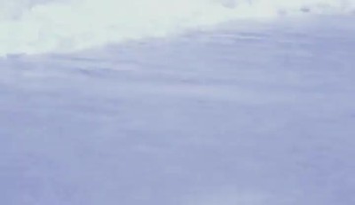 Finding Our Life's Purpose