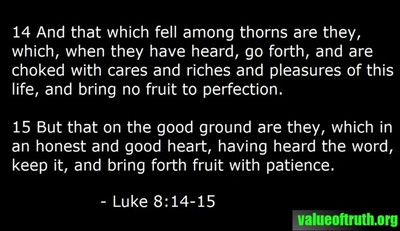 No Good Fruit Without The Bible (Devotional)