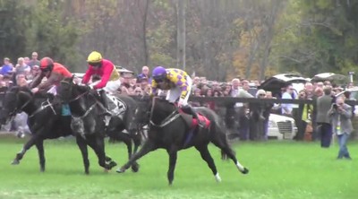 The Steeplechase