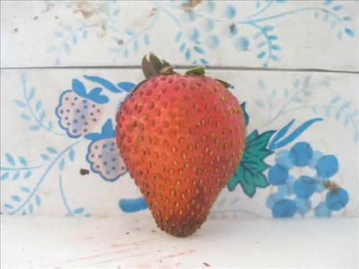 Strawberry Animation