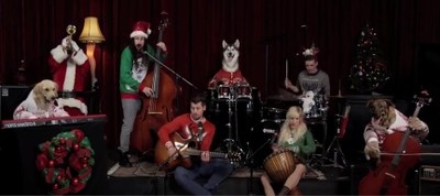 Little Drummer Boy Performed by Dogs!