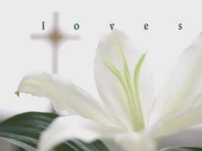 The Bible-God Loves You!