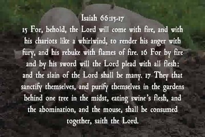 Bible Health 1/4
