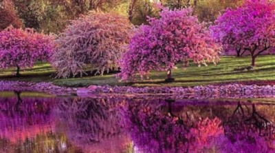 The Lord Is Near ~ Psalm 145 ~ by Glen Shulfer
