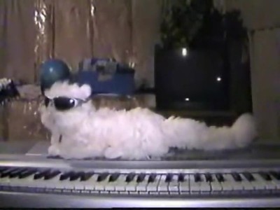 Talking Kitty Cat - Billy Get off the keyboard
