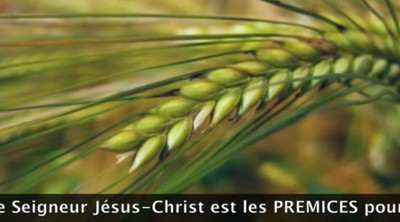 Le Calendrier de Dieu 9