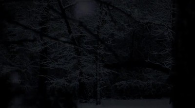 The Forest