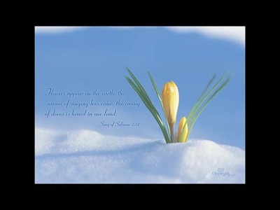GOD'S WILL TO HEAL YOU