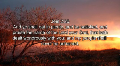 Prophecy of Israel War, Asteroid and God's Judgments - Elvi Zapata in Lord's Hour on 10/8/2014
