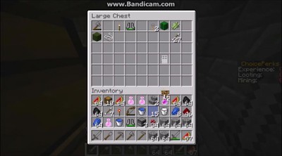 Minecraft Raiding good loot left behind!