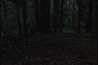 More hunting and exploring