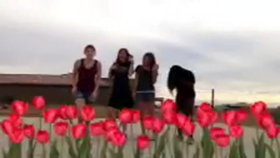 Girls Video - Gold