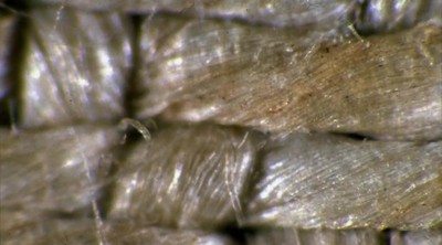 New Tests Shed New Light on Shroud of Turin