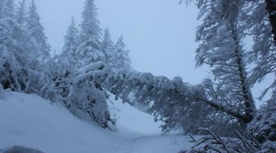 After the storm