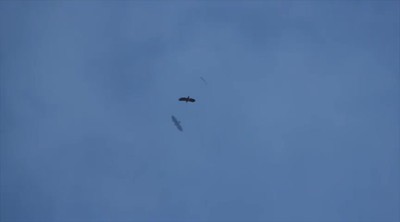 As The Eagle...