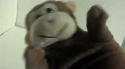 Crazy Monkey