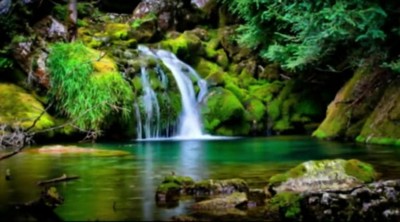 Simply Paradise
