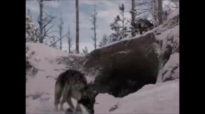 A Light in the Darkness: Eclipsed trailer