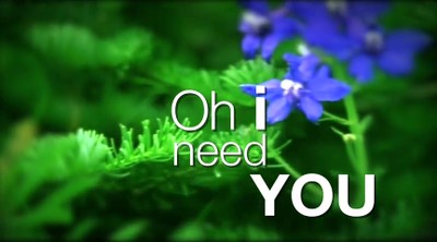 Philippians 4:13: I NEED YOU by Beth Hull
