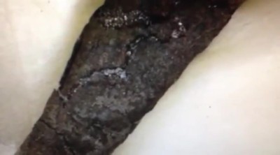 "Ancient Torah Scroll" Found 1,500 Years