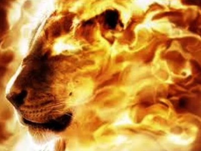 The Lion of Judah is Roaring