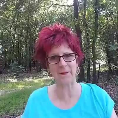 Open letter of Apology to terrorist survivors ,gorilla cage, alligator Incident