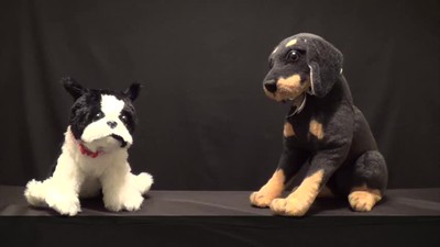 The Missionary Dog jokes