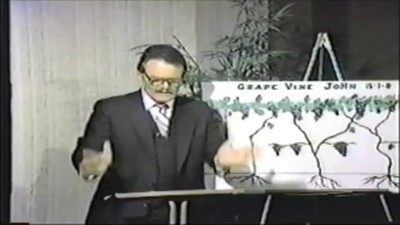 I Am the Vine