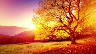 Eyes of Grace - Jesus Calling Devotional Video