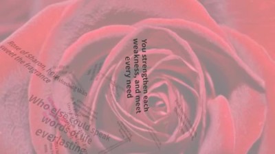 Rose of Sharon