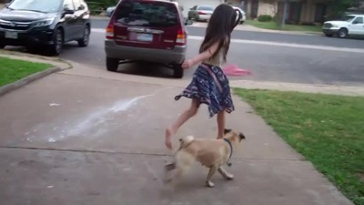playing with the dog