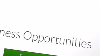 Business Opportunities Just For You