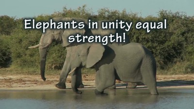 Unity, agreement and harmony equal strength for the body of Christ!
