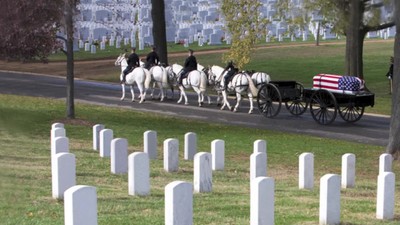 A MEMORIAL DAY TRIBUTE